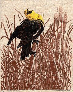 Cantata de taboa, 2017 (xilogravura)