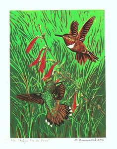 Rufus Pas de Deux, 2016 (xilogravura)
