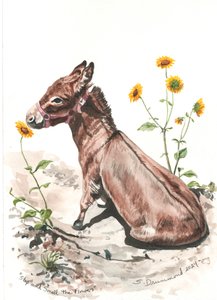 Stop and Smell the Flowers, 2024 (aguarela sobre papel)