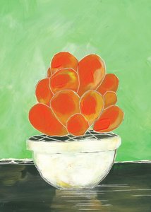 Suculenta em vaso com cores vivas