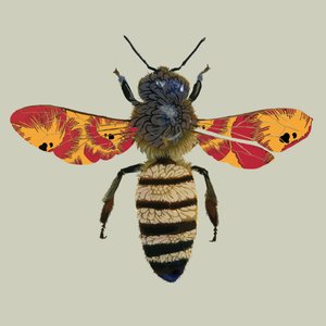 Honey Bee, 2010 (digital) de Sarah Hough