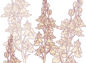 Orquídea, 2017 de Sarah Hough