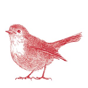 Robin, 2017 de Sarah Hough