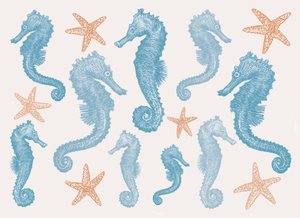 Cavalos marinhos e Estrela do Mar, 2017 de Sarah Hough