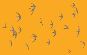 Swifts, 2017 de Sarah Hough