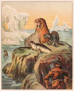 Um esquimó caçando focas e uma morsa, de P.T. Barnum