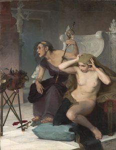 Os Bacidae