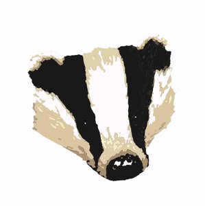 Badger,2018,(desenho digital) de Sarah Thompson Engels
