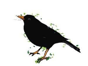 Blackbird,2018,(desenho digital) de Sarah Thompson Engels