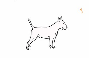 Bull terrier,2018,(desenho digital) de Sarah Thompson Engels