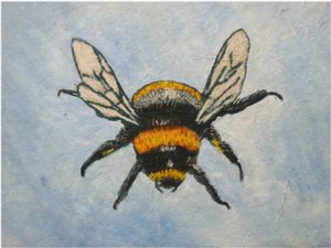 Bumble bee, 2015 (pastel & aquarela) de Sarah Thompson Engels