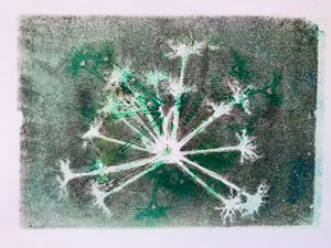 Seedhead I,2020,(monoprint) de Sarah Thompson Engels