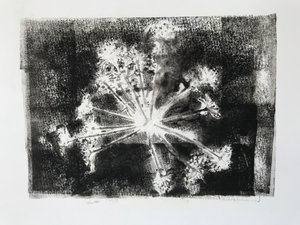 Seedhead II,2020,(monoprint) de Sarah Thompson Engels