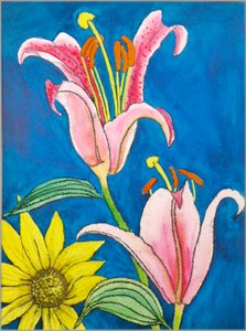 Stargazer de Sarah Thompson Engels