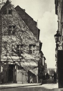 Berlim: "A árvore da noz" (foto a p/b) de Sasha Stone