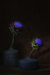  de Saskia Dingemans