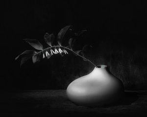  de Saskia Dingemans