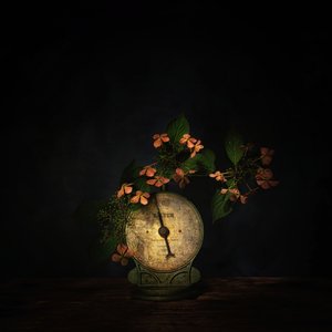  de Saskia Dingemans