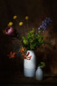  de Saskia Dingemans