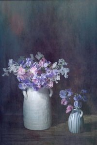  de Saskia Dingemans