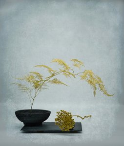  de Saskia Dingemans