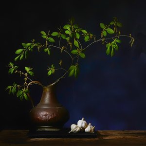  de Saskia Dingemans