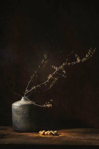  de Saskia Dingemans