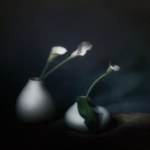  de Saskia Dingemans