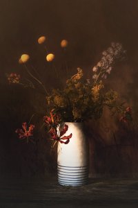  de Saskia Dingemans