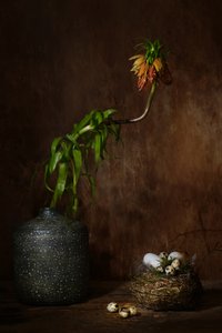  de Saskia Dingemans