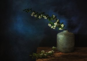  de Saskia Dingemans