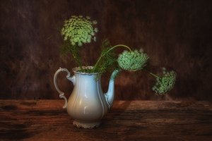  de Saskia Dingemans