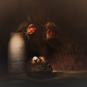  de Saskia Dingemans