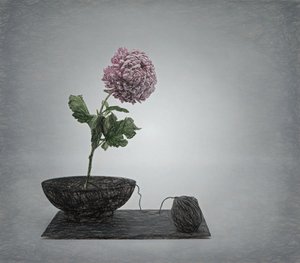  de Saskia Dingemans
