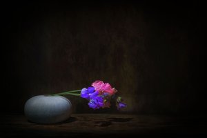  de Saskia Dingemans
