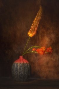  de Saskia Dingemans