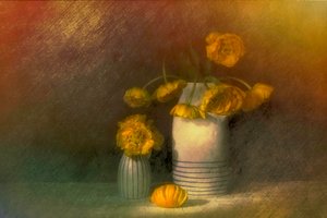  de Saskia Dingemans