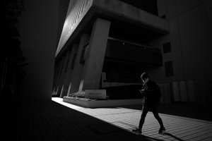 Caminho Urbano na Luz de Satoshi Hata