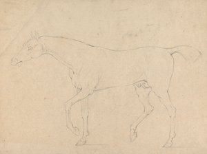 Um cavalo de Sawrey Gilpin