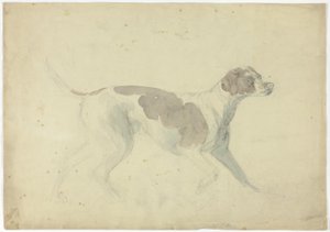 Cão de caça (frente); esboços de cavalo e cavaleiro (verso) de Sawrey Gilpin