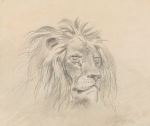 Chefe de um Leão de Sawrey Gilpin