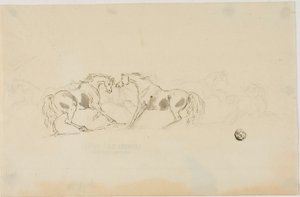 Cavalos brigando de Sawrey Gilpin