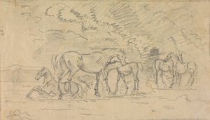 Cavalos num prado de Sawrey Gilpin