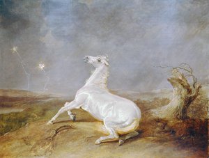 Cavalo louco