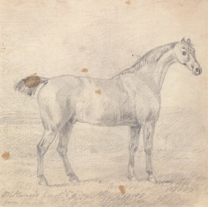 Sr. Cavalo de Plumer de Sawrey Gilpin