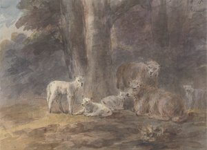 Ovelhas debaixo de uma árvore de Sawrey Gilpin