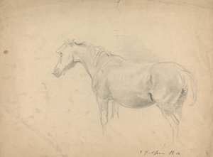 Esboço de um cavalo de Sawrey Gilpin