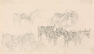 Estudos de burros de Sawrey Gilpin
