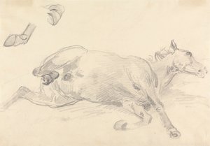 Estudo de um cavalo deitado de Sawrey Gilpin