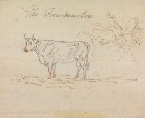O Franco-Martin de Sawrey Gilpin